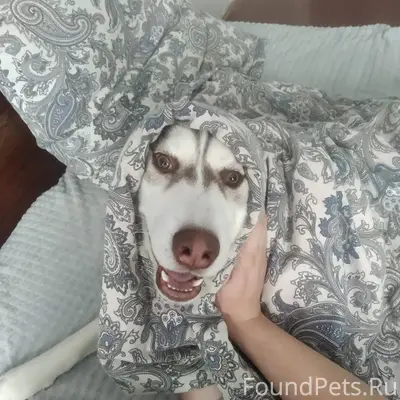 29.12.2025г в 18:40...