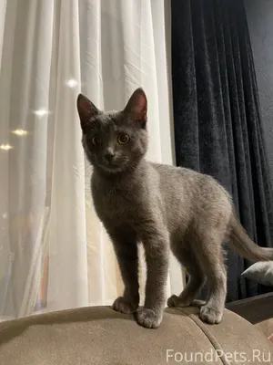 28.12 на заправке на ул...