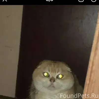 ЛО, Кингисеппский район, масси...