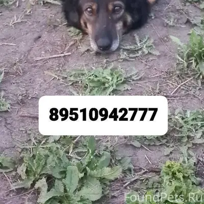 ❗❗❗Вчера вечером, 28.12 из-за....