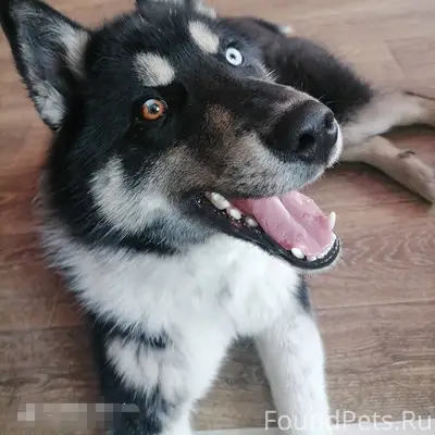 В РАЙОНЕ ДЕПО-2 НАЙДЕН МОЛОДОЙ...