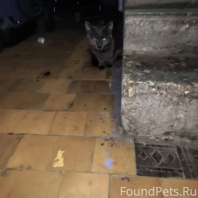 Сос, Балаково. Нет ли тут чело...