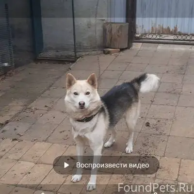 🔴ВНИМАНИЕ🟠 В районе посёлка Ст...