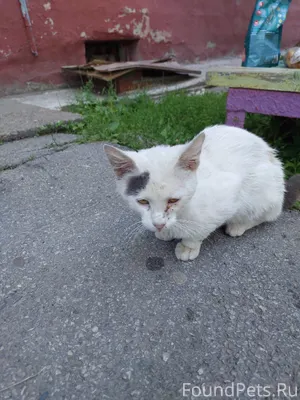 Чебоксары Может быть кто видел...