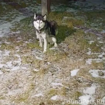 У нас на Опорном появилась мол...