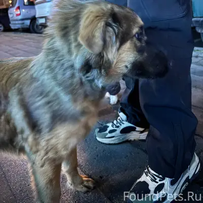 Сельмаш, Космонавтов, Богданов...