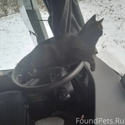 Дорогие Беларусы , Мозыряне и ...