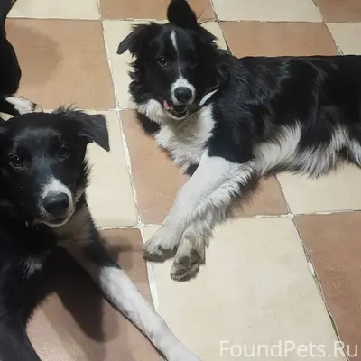 Помогите найти двух молодых со...