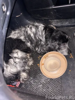 Здравствуйте! Сегодня в районе...