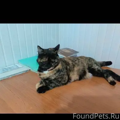 Город Усть-Каменогорск Здравст...