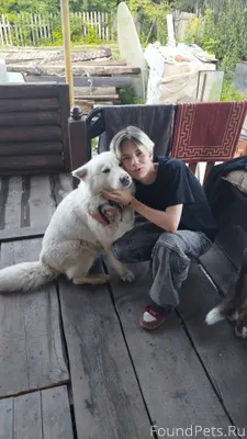 Пропала собака район 4 участка...