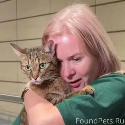 Чертяка! 😸😹 Пропавшего в поезд...