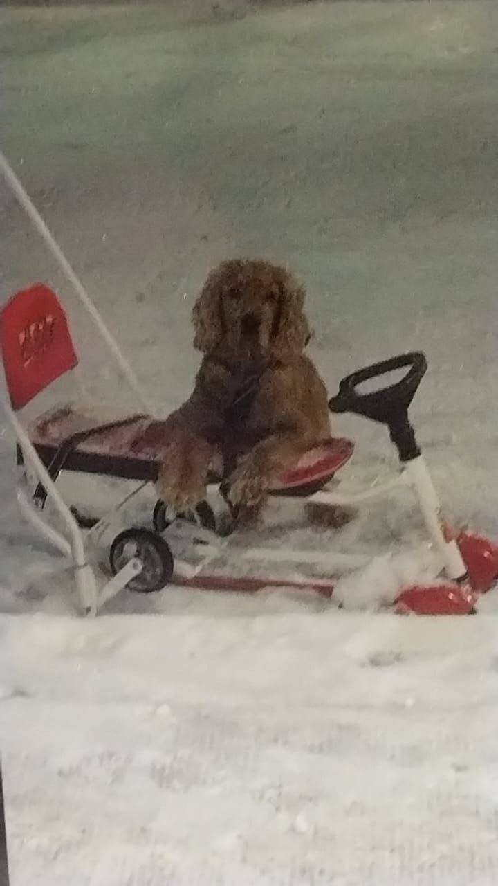 ‼️Сегодня утром 03.12 потерялс...