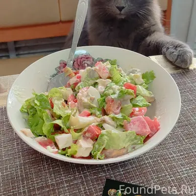 Пропал кот. Живёт на ул. Колхо...