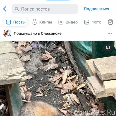 Под эстакадой офиса СДЭК появи...