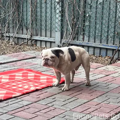 Всем здравствуйте, недавно вид...