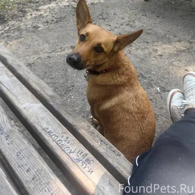 Вчера вечером, 1 декабря, окол...