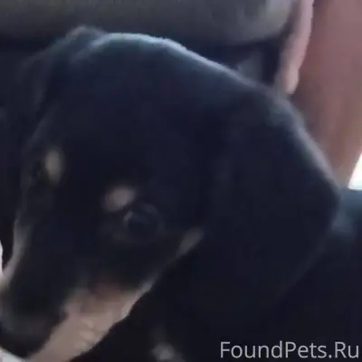 СРОЧНО!!⚠️⚠️⚠️⚠️⚠️⚠️⚠️⚠️🆘️🆘️🆘️...