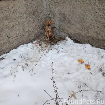 Дзержинск, около Юбилейного, с...