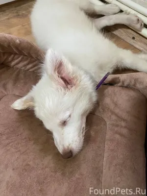 Здравствуйте,выставите пожалуй...