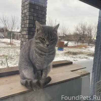 Доброго дня! И снова про этого...