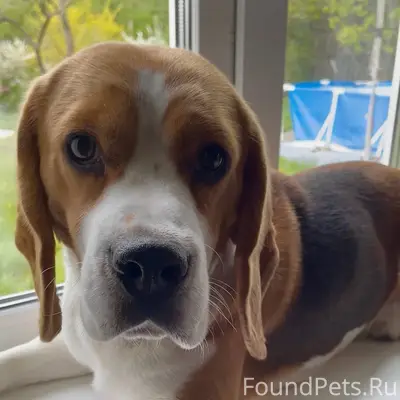 Не анонимно, пожалуйста. Пропа...