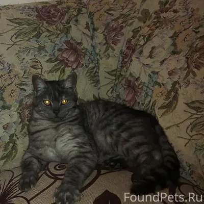 Автор; https://vk.ru/id1161129...