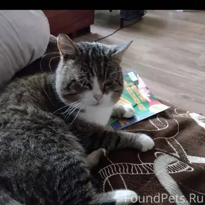 Г.Михайловка .25 декабря пропа...