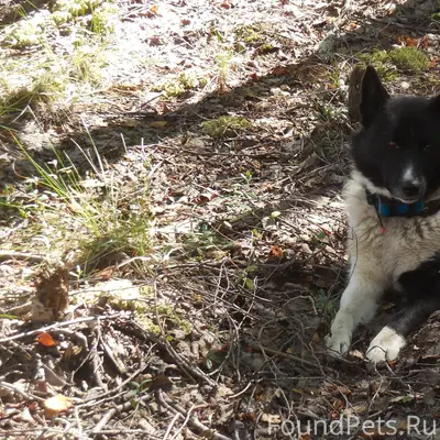 Внимание, нужна помощь! Потеря...