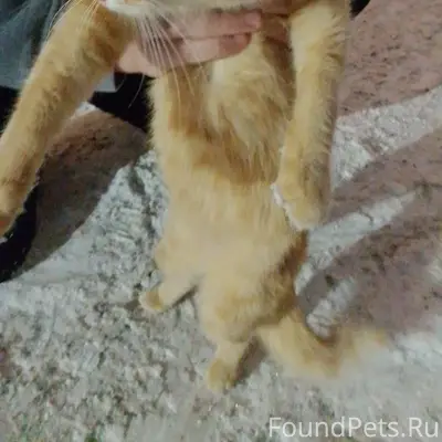 Здравствуйте! 30.12.2025 в кир...