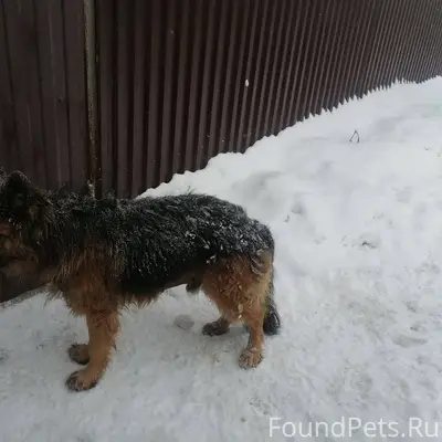 Звенигород, Верхний Посад, пер...
