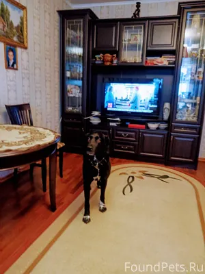 Друзья Мои, прошу помощи. Поте...