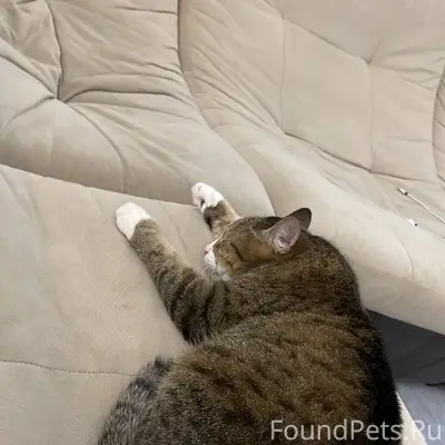 В с. Покойном в районе выезда....