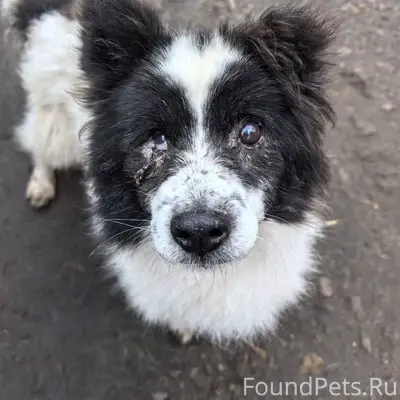 Всем доброго времени! Потеряла...