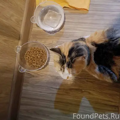 Здравствуйте! Может, кто-то по...