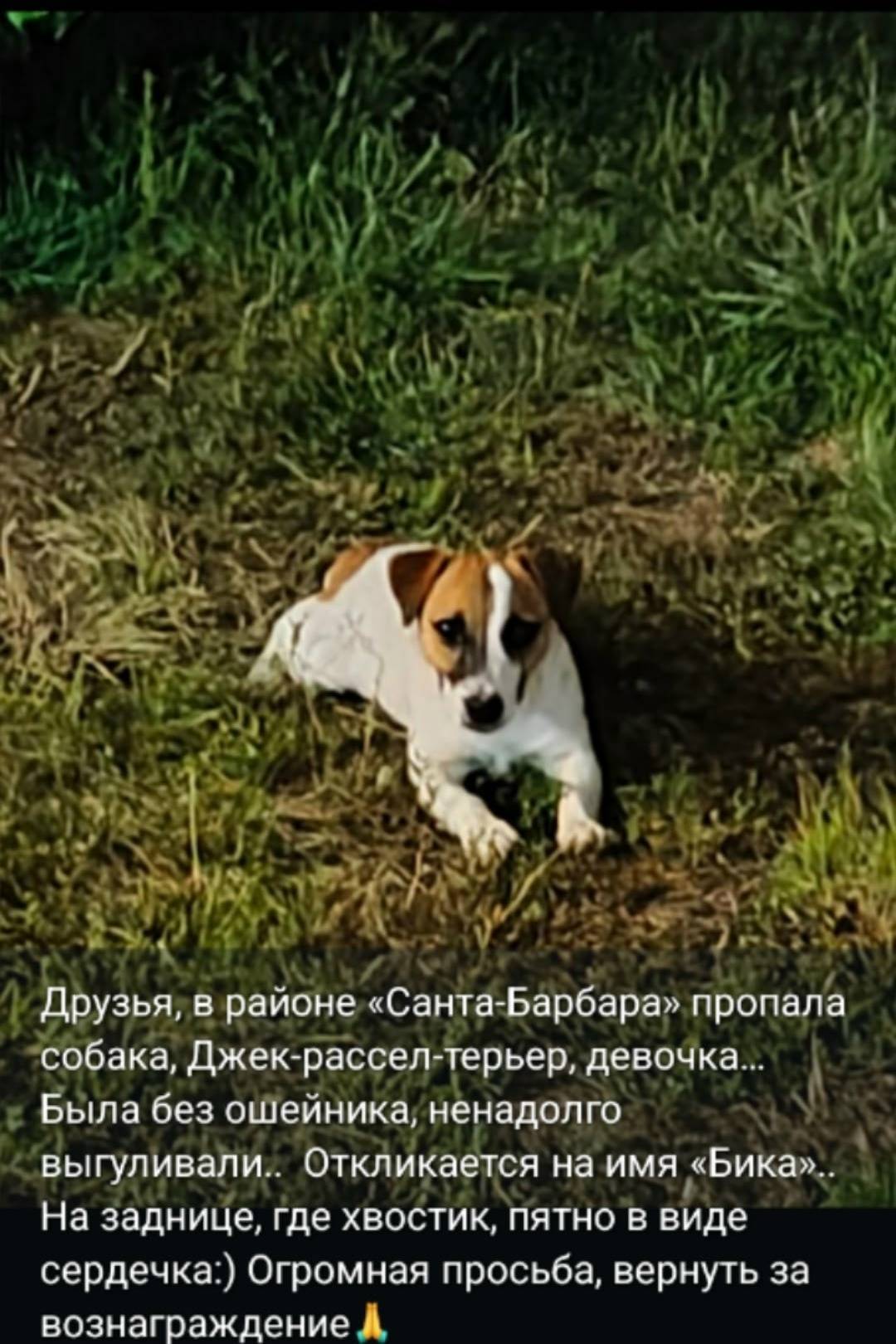 Если можно,выложите побыстрее ...