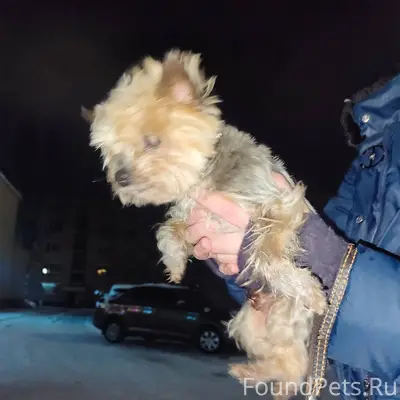 Здравствуйте, в районе непокор...