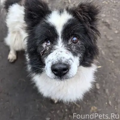 29.12.2025 по адресу: Подольск...