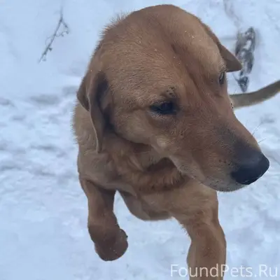27 декабря в городе Кинешма в....