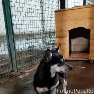 Парень - мелкашик из отлова 29...