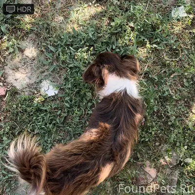 #Ищу #Найдись #Новошахтинск Пр...