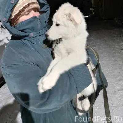 Здравствуйте! 31 декабря в рай...
