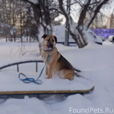 Всех с наступающим новым годом...