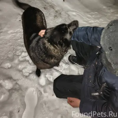 Всем привет! с новым годом вас...