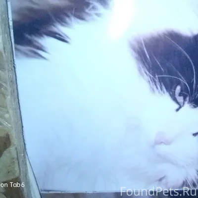 Друзья, трое суток назад, в ра...