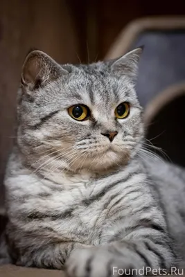 В Новый год хочется поделиться...