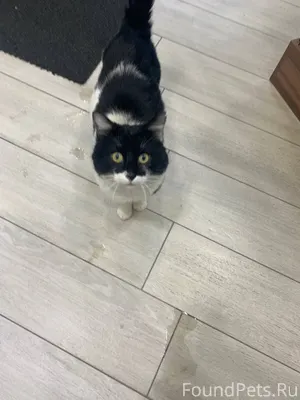 Доброе утро. Знакомая мордашка...