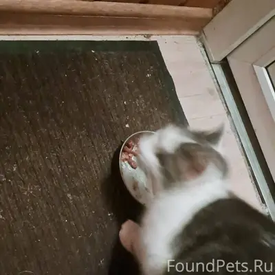 Всем здравствуйте. Район город...