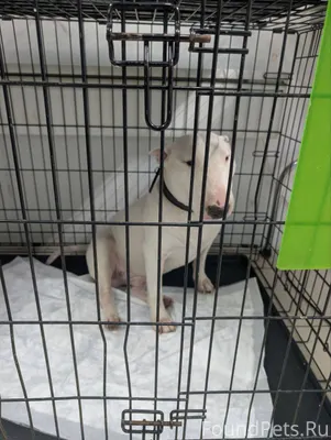 Возле круглосуточного "Дикси" ...