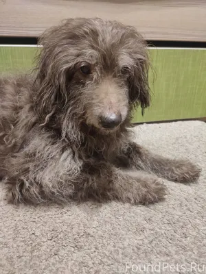 Провожая этот год можно было б...